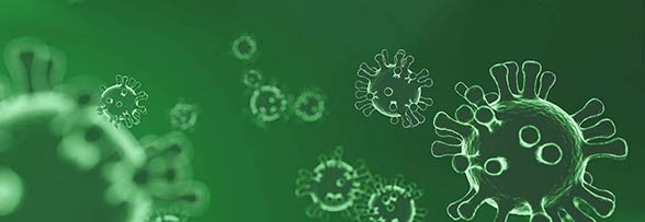 Stärken Sie Ihr Immunsystem